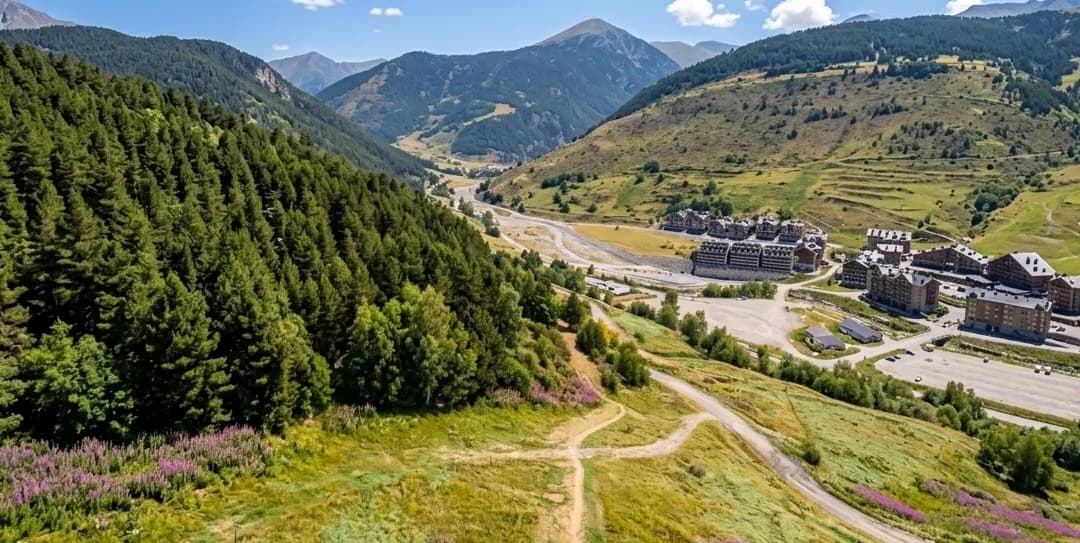 Vista aèria d'una vall muntanyosa amb un dens bosc de pins a l'esquerra, una llera de riu serpentejant i un poble turístic entre vessants coberts d'herba.