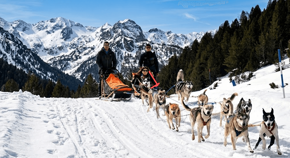 Un grupo de personas disfruta del mushing con un equipo de huskies a través de un paisaje montañoso nevado bajo un cielo azul claro.