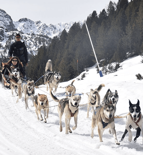 Un equipo de huskies tira de un trineo con dos personas a través de un paisaje montañoso nevado, con pinos en las laderas.