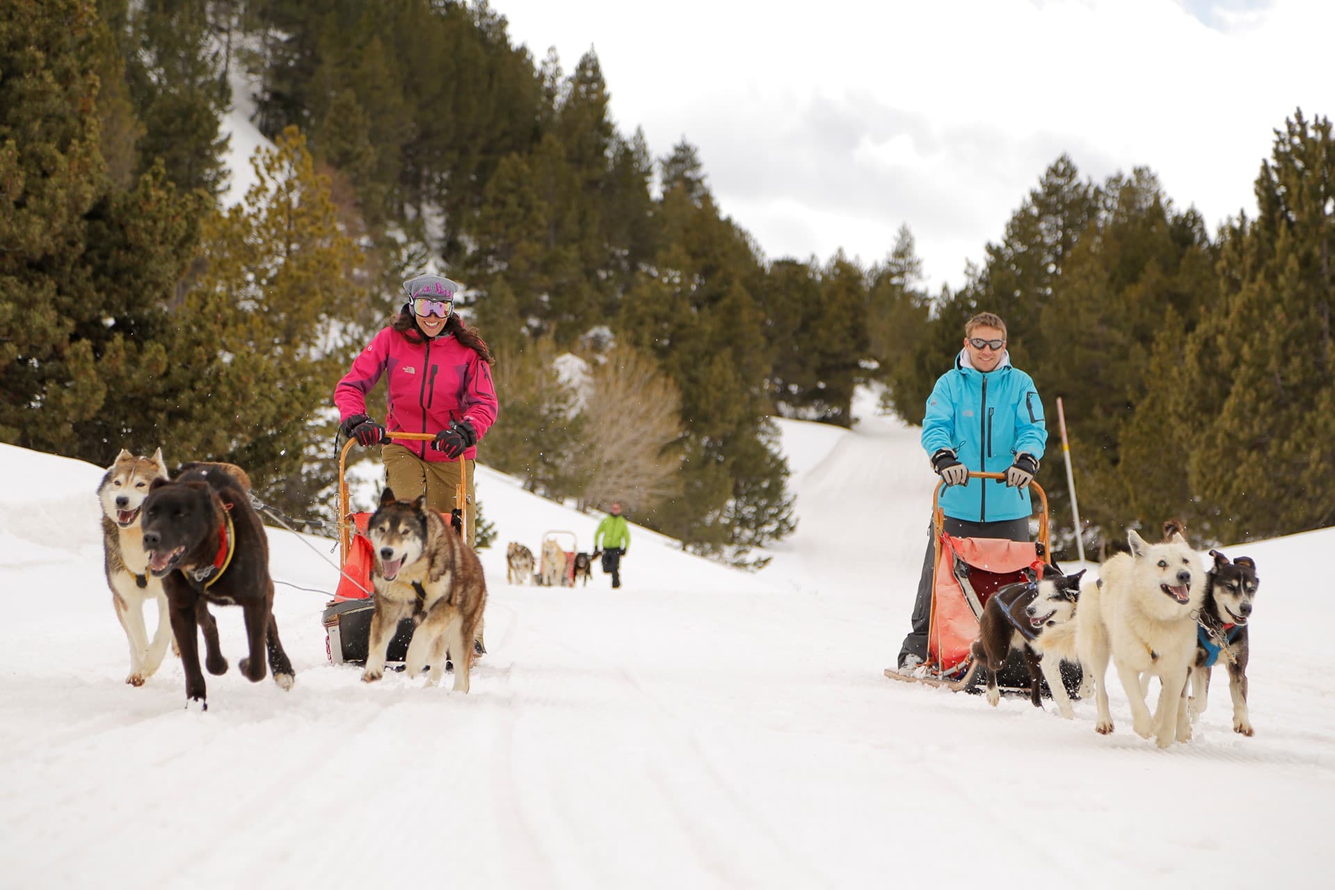 Dos personas en trineos tirados por perros son arrastradas por equipos de huskies y otros perros a lo largo de un camino nevado. El sendero está flanqueado por pinos y montañas al fondo.