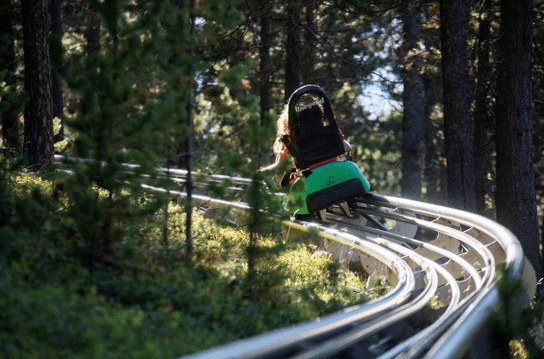Una persona baixa en un carro verd i negre de muntanya russa per una pista metàl·lica sinuosa a través d'un bosc il·luminat pel sol.