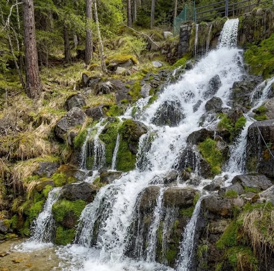 Una cascada baixa per un pendent rocós cobert de molsa en un bosc, amb arbres i herba seca visibles a les ribes.