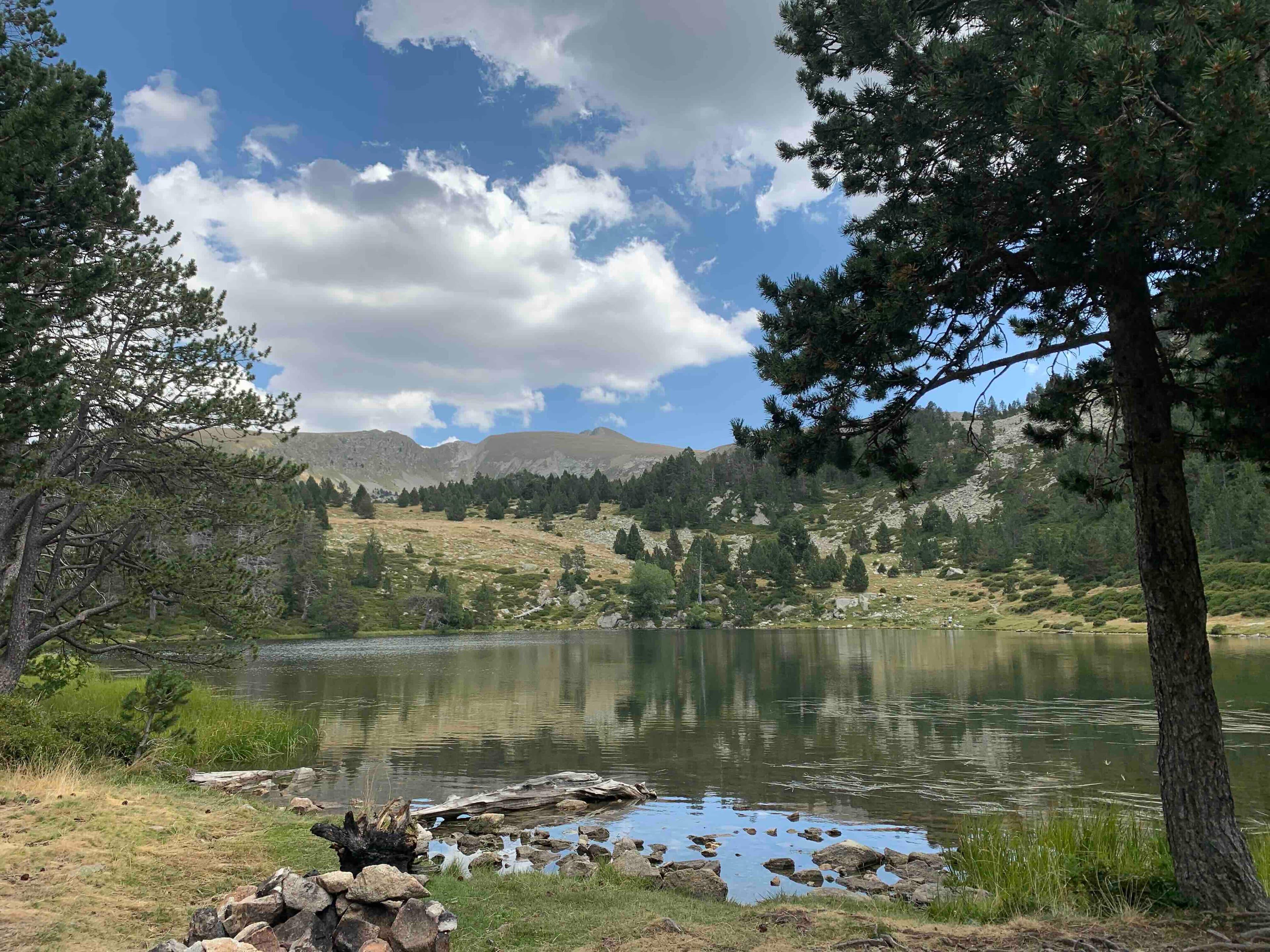 Un serè llac de muntanya reflecteix un cel parcialment ennuvolat, emmarcat per pins en primer pla. Turons rocosos i boscosos s'eleven al fons sota un cel blau amb núvols blancs.