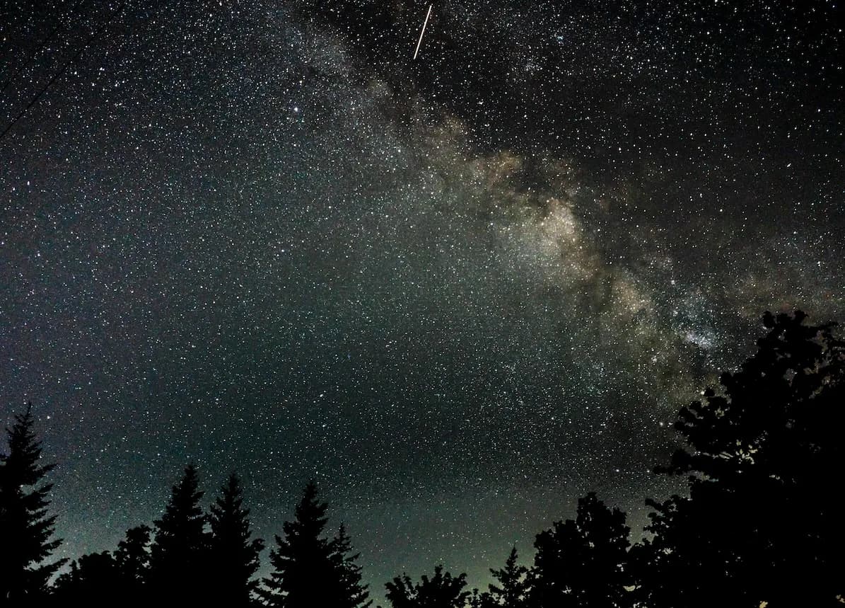 Un cel nocturn fosc ple d'innombrables estrelles i la banda brillant de la Via Làctia, vist sobre les copes siluetejades dels pins. Un tènue rastre de llum travessa la part superior esquerra del cel.