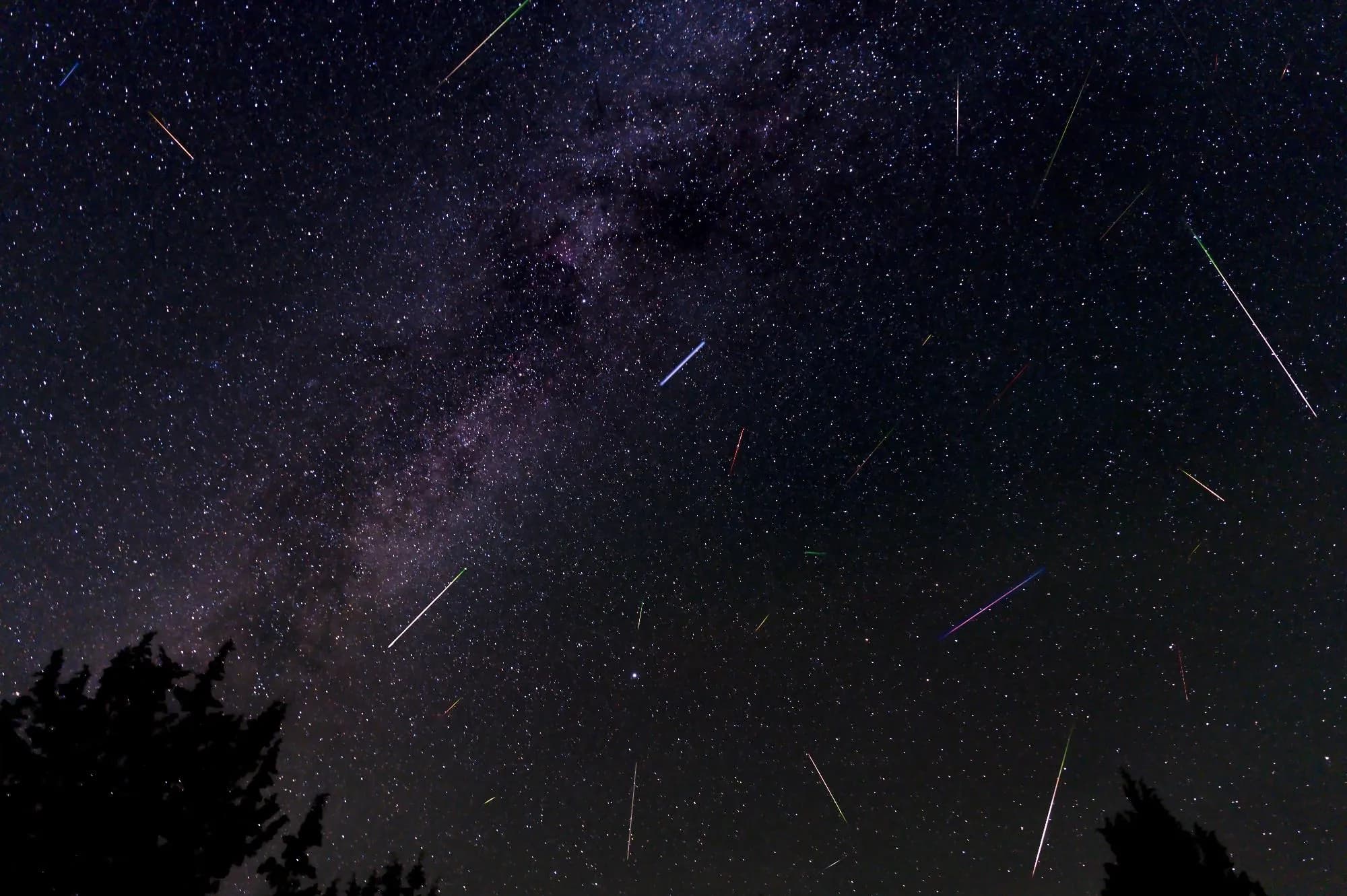 Un cel nocturn fosc ple d'innombrables estrelles i la Via Làctia, amb múltiples meteors de colors creuant l'enquadrament sobre les copes dels arbres en silueta.