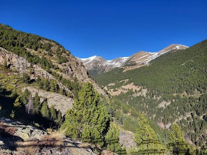 Una vista panoràmica d'un paisatge muntanyós amb densos boscos de pins verds cobrint els vessants sota un cel blau clar. Es veuen cims distants amb taques de neu.