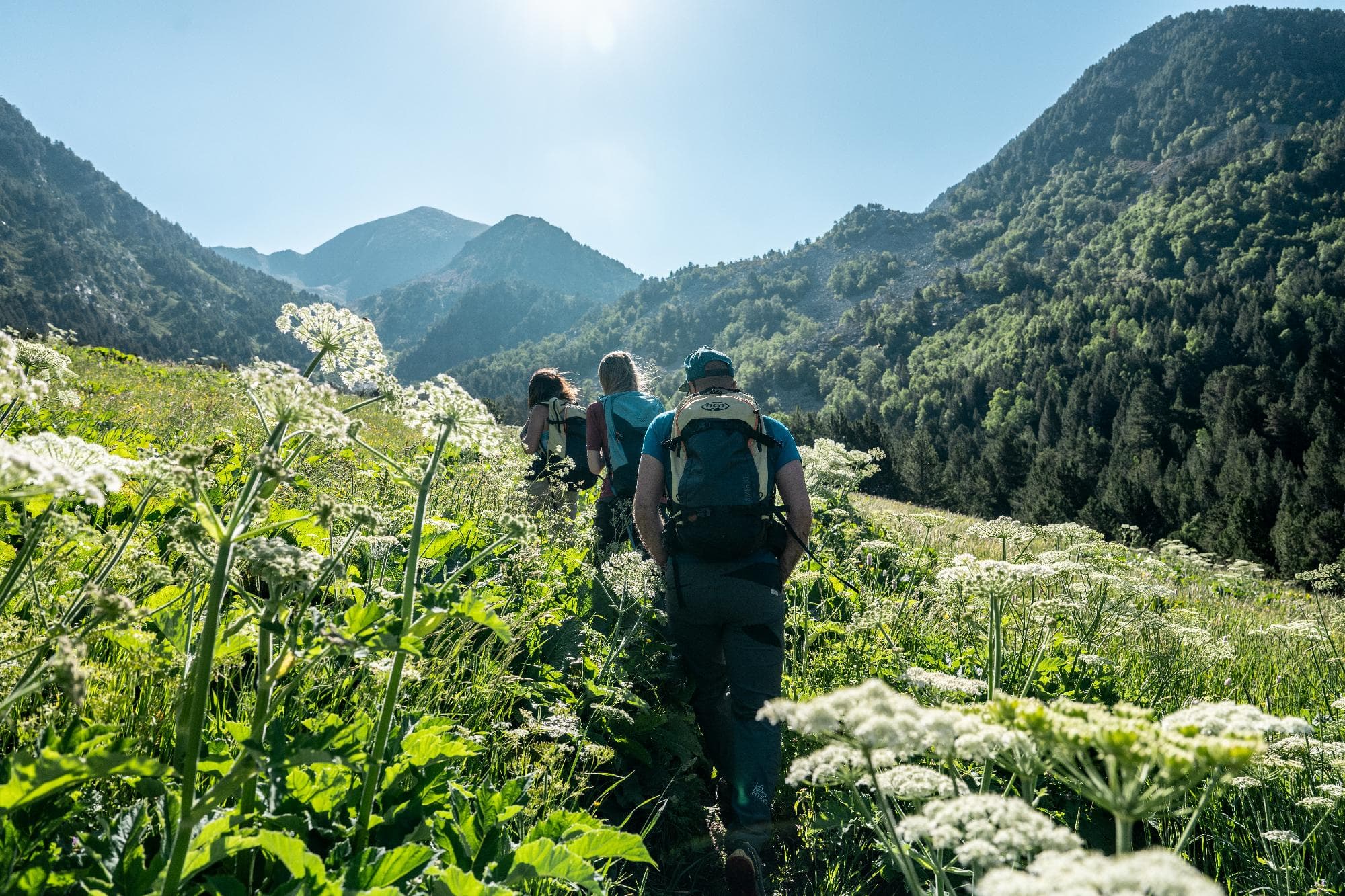 Amics fent senderisme a Andorra a l'estiu