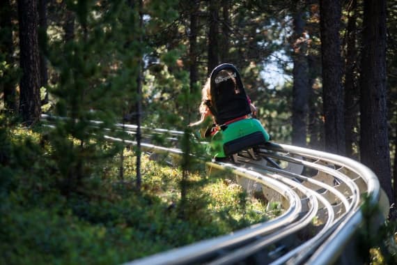 Una persona desciende en un carro verde de montaña rusa alpina por una vía metálica curva en un bosque soleado de pinos.