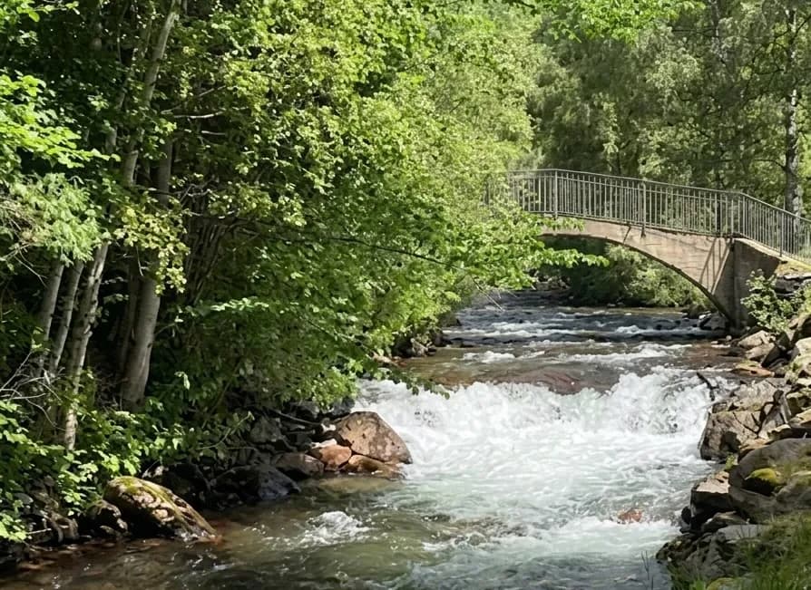 Un riu amb ràpids flueix a través d'un bosc verd. Un pont d'arc de pedra amb barana metàl·lica creua el riu.