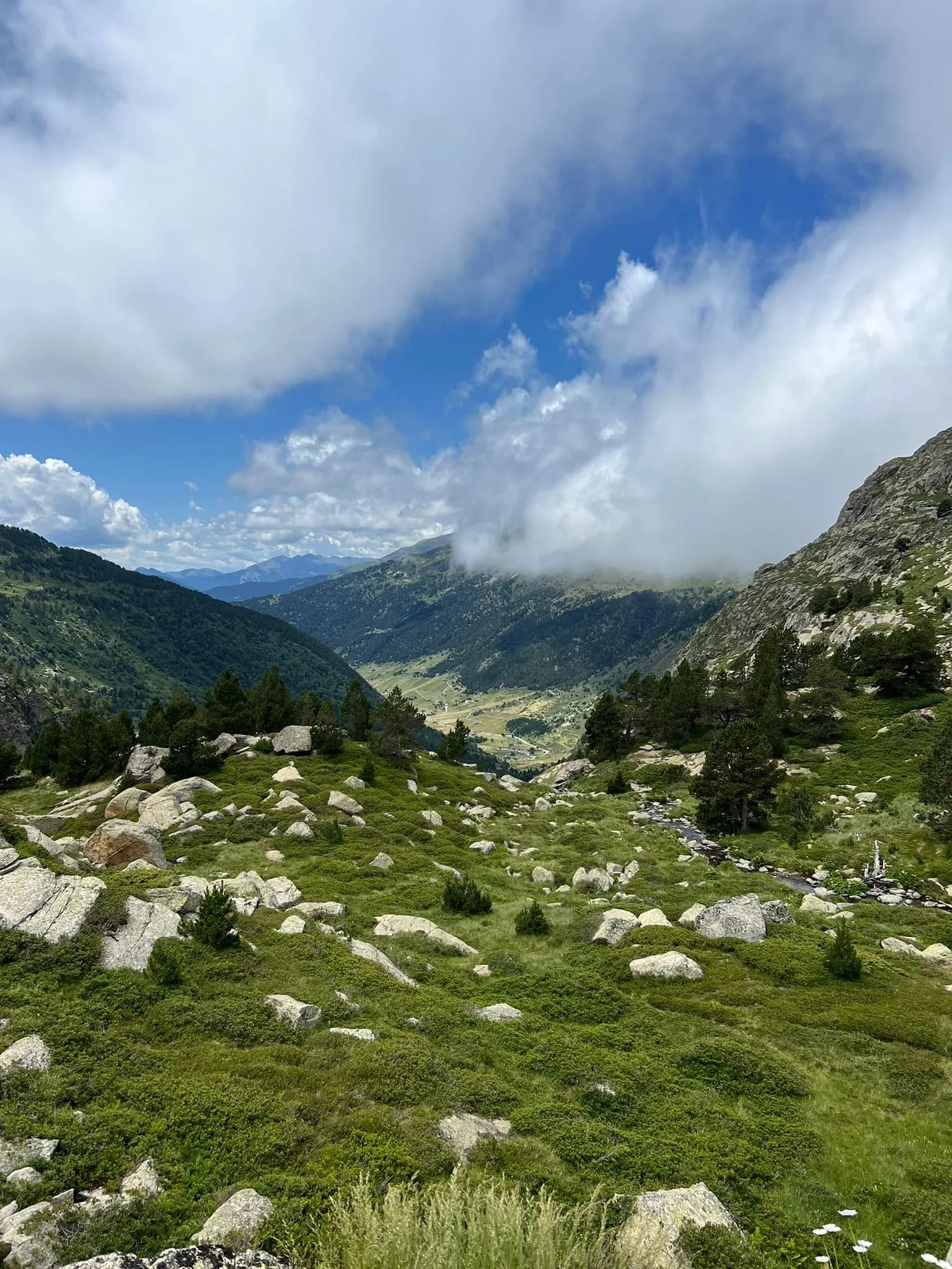 Un exuberant paisatge verd de muntanya amb roques disperses i pins en primer pla, que condueix a una vall profunda amb muntanyes distants sota un cel blau parcialment ennuvolat. Els núvols cobreixen parcialment alguns cims i la vall.